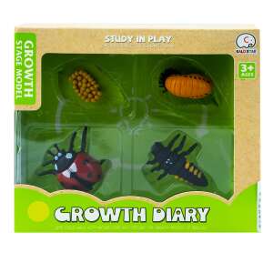 Ladybug life cycle growth stages model, 4 pieces, egg, larva, pupa, adult, Kalo Star - Figure