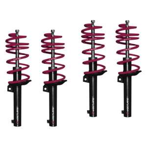 Vogtland lowering spring set for Ford Galaxy (5.06 >) 35mm - Galaxy