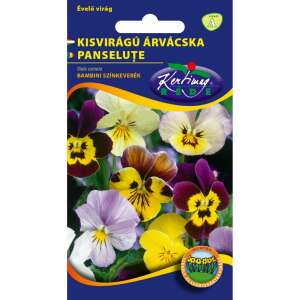 Semințe de flori Kertimag Kisvirágú Panselute, culori mixte - Semințe de semanat