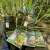 Nevis Extreme Hi-Carbon Snelled Hooks Carp, Roach, Zander, Corn, Barbless