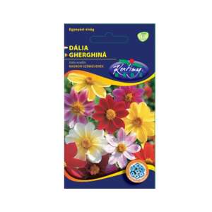 Semințe de flori Kertmag Kft. Dalia Mignon Mix, 1 gram - Semințe de semanat