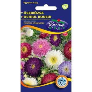 Semințe de Őszirózsa Prinzess amestec de culori 1 g, marca Kertimag, semințe de aster colorate - Semințe de semanat