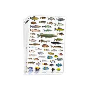 PlayBox 300 darabos halas matrica, színes és részletes hal matricák gyerekeknek és felnőtteknek, tökéletes akváriumokhoz, kézműveskedéshez és oktatáshoz - Playbox