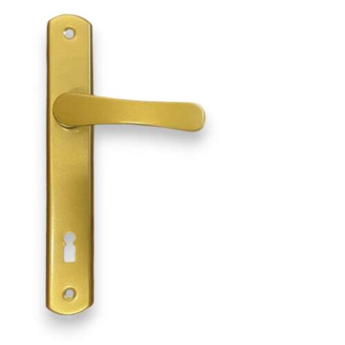Larina Square Shield Golden 90 mm WC Handle