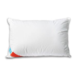 Perna Somn Relax goose down and feather pillow 50x70 cm isolated - Pillow