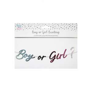 Boy or Girl Gender Reveal Bunting Banner, 1.5 meter long, pre-strung, silver and pink foil letters - Party Decoration