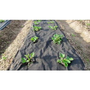 Minet Terasin NS Geotextília - 10 x 100m x 1,5m