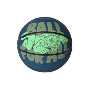 Nike Everyday Playground 8P Graphic basketball, blue with green panther graphic - Basketball Equipment