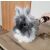 Purlov pet grooming clipper in use on rabbit