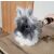 Purlov pet grooming clipper in use on rabbit