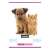 Nebulo A5 lined notebook for first grade with a puppy and kitten design