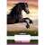 Nebulo A5 lined notebook for 1st grade with black horse design