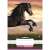 Nebulo A5 lined notebook for first grade with a horse design
