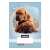 Caiet Nebulo A5 cu design Puppy, linie pentru clasa a 2-a, 16-32 pagini