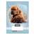 Caiet Nebulo A5 cu design Puppy, linie pentru clasa a 2-a, 16-32 pagini