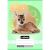 Notebook, a5, 3rd grade ruler, 12-32, animal patterns, 16 pcs/pack nebulo 99457697