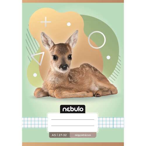 Notebook, a5, checkered, 27-32, animal patterns, 16 pcs/pack nebulo 99457700