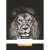 Nebulo A4 plain notebook with a lion on the cover