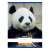 Nebulo A4 plain notebook with panda design