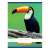Nebulo A4 plain notebook with toucan cover