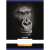 Nebulo A4 plain notebook with gorilla design