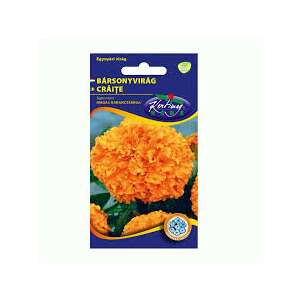 Semințe de gălbenele, portocaliu, înalte, semințe de flori, marca Kistay - Semințe de semanat