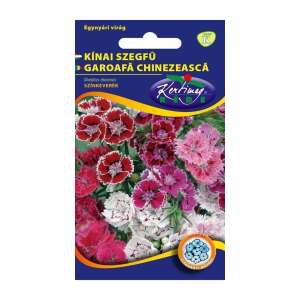 Garoafă chineză, Dianthus chinensis, semințe de flori, culori mixte, Kertművész Kft. - Semințe de semanat