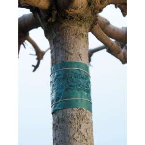 Tree trunk insect trap, 150cm, 6 pack - Nonbrand Insect trap