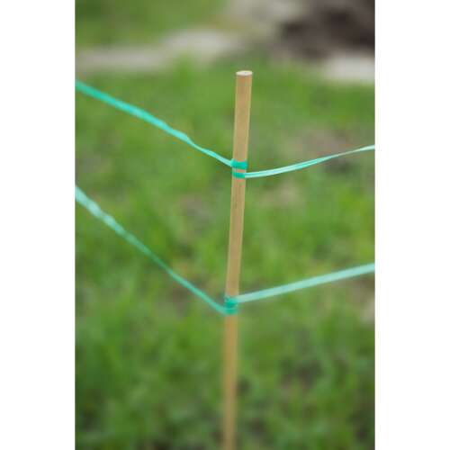 Green plant support string tied to a wooden stake