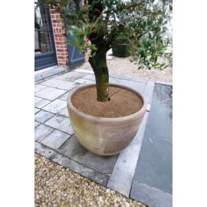 Coconut mat for insulation, 60cm diameter, 3 pieces per set, 5 sets per carton - Gardening Tool