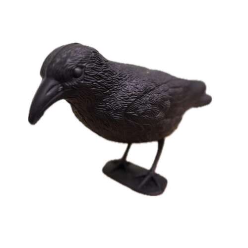 Crow 43x14x20 cm S012 99488385