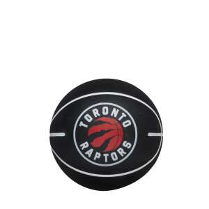 Wilson NBA Toronto Raptors Mini Kosárlabda, Fekete - Kosárlabdázás