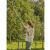 Gardena combisystem Fruit Picker Hook 101352677