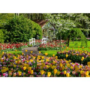 Keukenhof Gärten malerische Aussicht, perfekt für Puzzlespiele - Ravensburger Puzzle