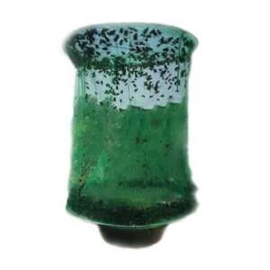Green fly trap with flies inside, hanging in the air - Nonbrand Insect trap