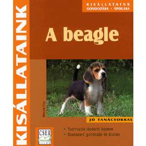 A beagle 46855688 Háziállatok, állatgondozás könyv