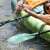 Aqua Marina Ripple-Tech Ripple-Tech Kayak și Canoe Paddle 230cm #green 36838828}