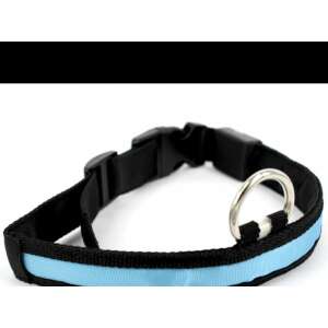 Blue LED dog collar, size S, for safe night walks - PetSafe Pet Collar