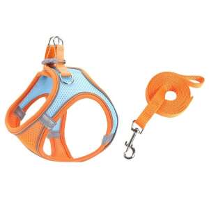 Orange and blue reflective dog harness with leash, for small dogs and cats - Rodent Care