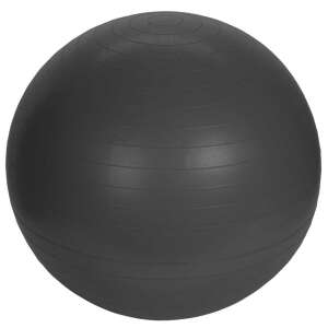 XQMAX Minge de yoga cu pompa, 55 cm, neagra 48597036 Modelatori de corp