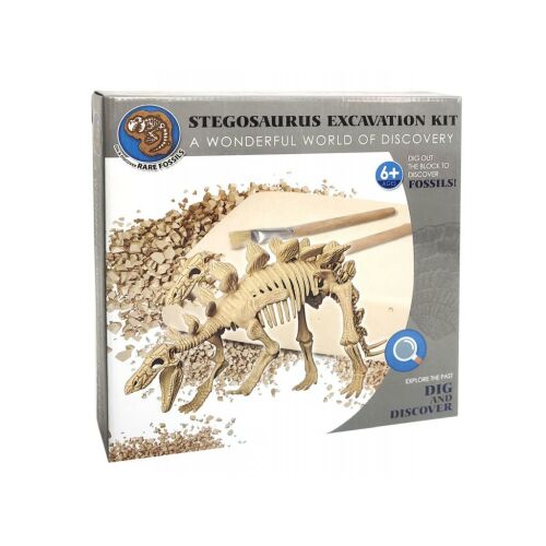 Rare Fossils Kit de excavare Stegosaurus - Sapă și descoperă oase de dinozaur