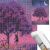 5D Diamond Painting Kit, 30x40cm, Blooming Tree Under the Moon model 100431677