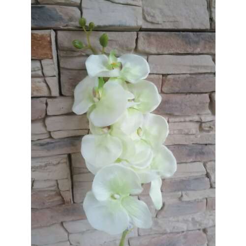 Orchidea szálas 105 cm-zöld 37200041
