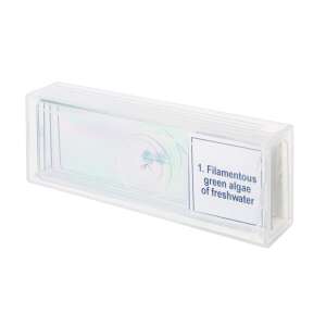 Discovery Biológia Professzionális Mintakészlet DPS 5 mikroszkóp tárgylemezek, 5 előkészített tárgylemez, Szálas zöld alga az édesvízben, biológiai oktatáshoz, iskolába, otthonra - Mikroszkóp kiegészítő