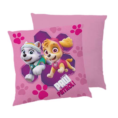 Paw Patrol Pink Power Pillow, 40x40 cm, featuring Skye and Everest