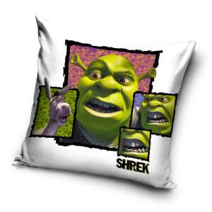 Shrek párnahuzat, 40x40 cm, velúr, Shrek és Szamár képpel - Párnahuzat