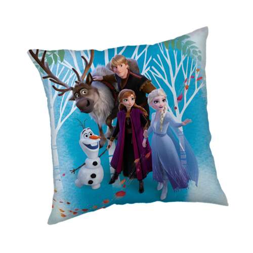 Disney Frozen rodinný vankúš, 40x40 cm, s postavami Anny, Elsy, Kristoffa, Olafa a Svena