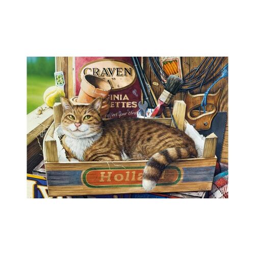 Castor (53476) Fothergill 500 db-os puzzle