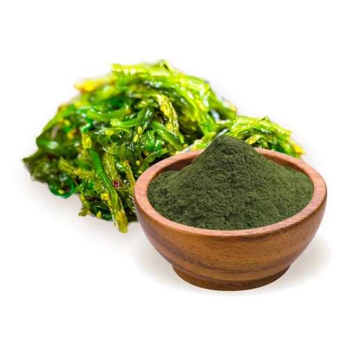 Spirulina por fazekban, friss spirulina alga mellett - Étrendkiegészítő