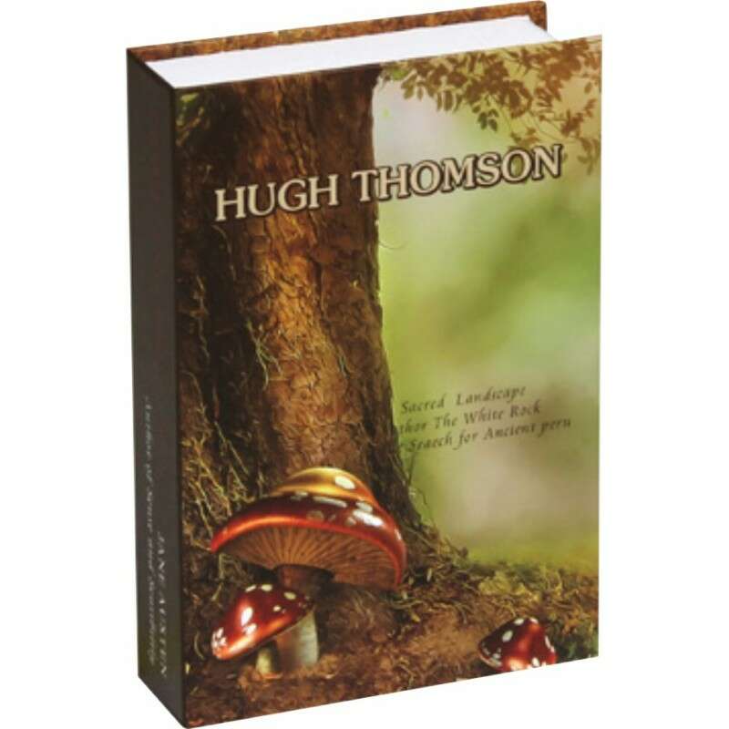 TS 1808 seif cu cheie tip carte